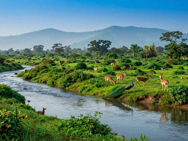 What Are the 4 Major Environments? A Guide to Natural, Built, Social & Digital Worlds